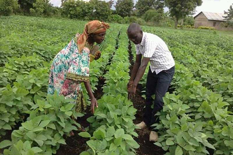 Apollo Tugeineyo (right) with a farmer.