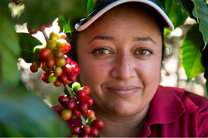 Smallholder farmers are receiving loans in the form of fertilizer, seeds, and irrigation technology.