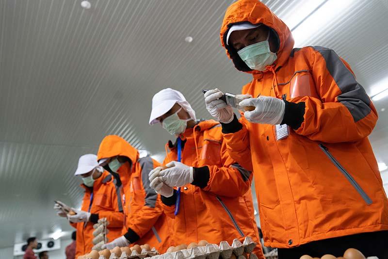 TaniHub employees work to avoid COVID-19 contamination.