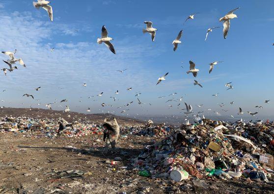 Belgrade Energy-from-Waste and landfill remediation project