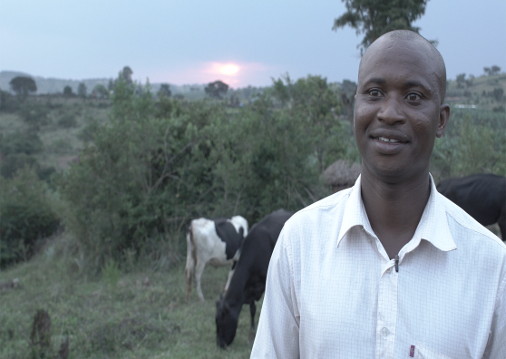 Boresha Technologies financial services for smallholder farmers