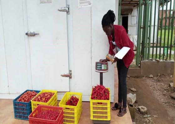Refrigeration As A Service renewable energy-powered cold room