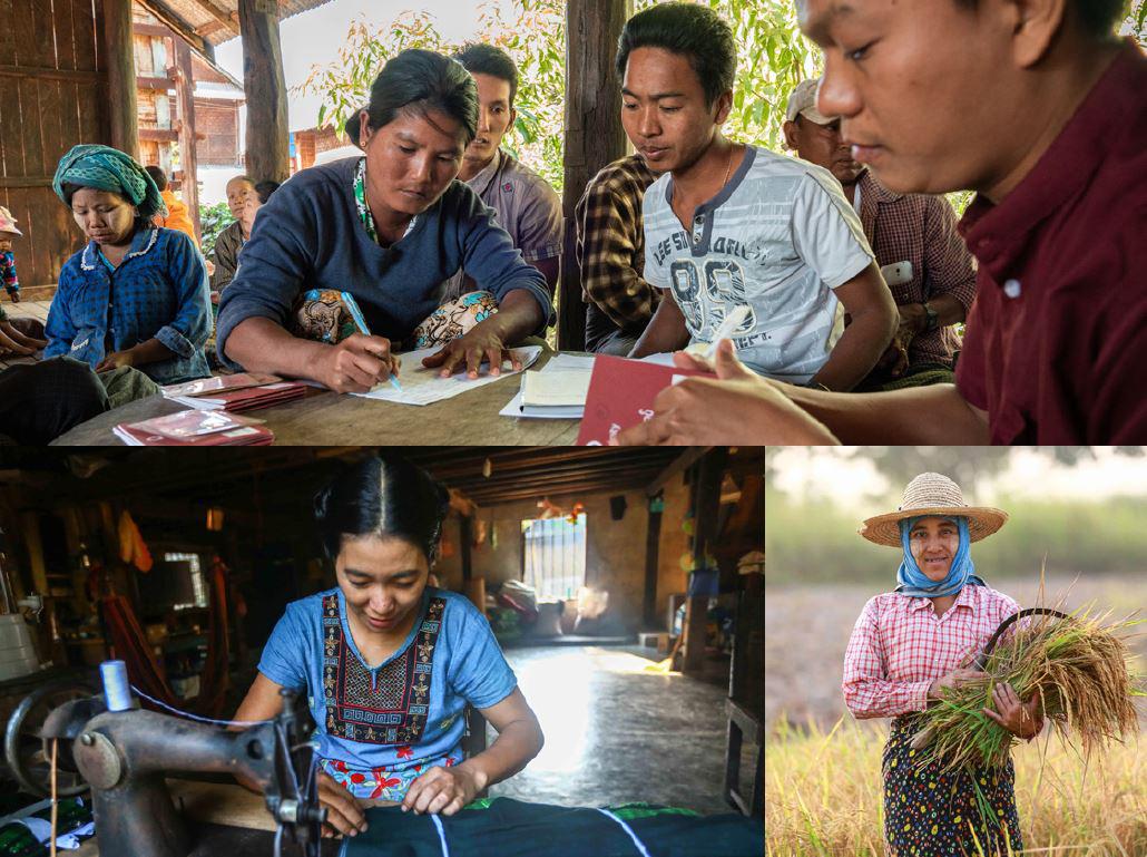 Myanmar-MFI-Gender.jpg