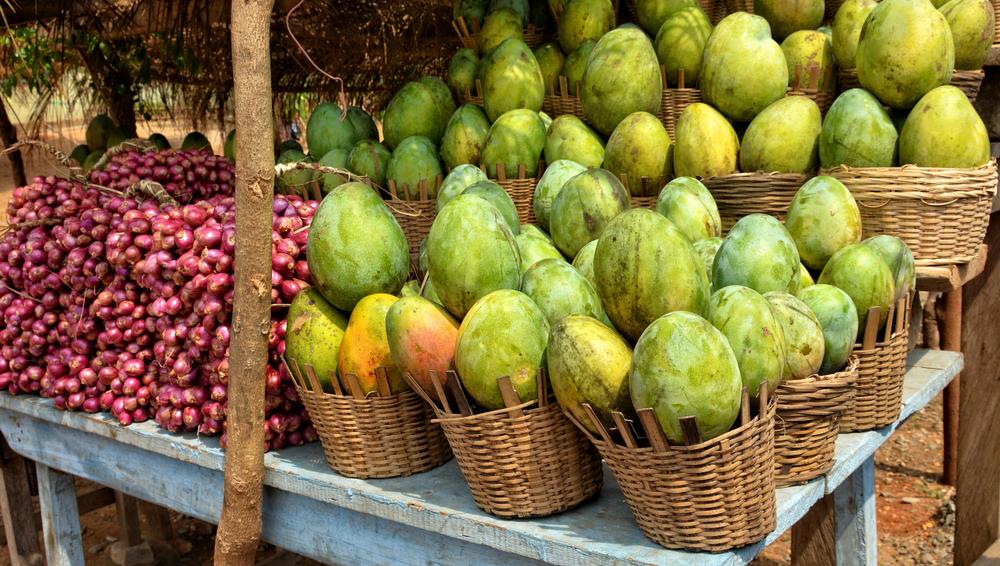 shutterstock_1349197127.jpg